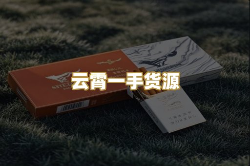 越南代工烟